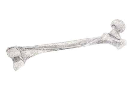 Brutal Blends